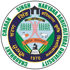 University Logo