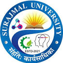 University Logo