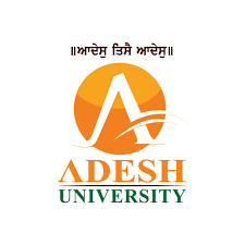 University Logo