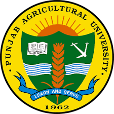 University Logo