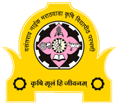 University Logo