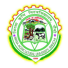 University Logo